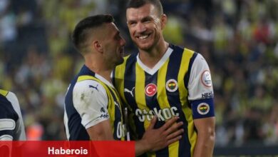 Fenerbahçe'nin mücevherleri: Edin Dzeko ve Dusan Tadic!