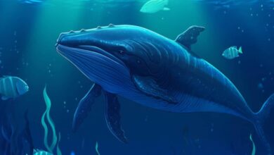 FLOKI Coin ve Bu 2’si İçin Balinalar Harekete Geçti: Dump Var!