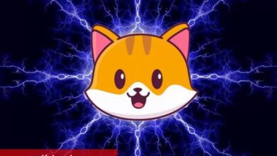 Göğüs Coin Tahtı ‘Kedilere’ mi Geçiyor? İşte En Çok Yükselen 6 Coin! - Haberois Göğüs Coin Tahtı ‘Kedilere’ mi Geçiyor? İşte En Çok Yükselen 6 Coin!