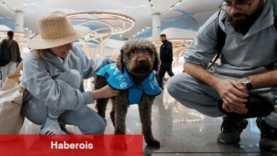 İGA İstanbul Havalimanı Terapi Köpekleri Uçuş Stresini Azaltmak İçin Göreve Hazır! - Haberois İGA İstanbul Havalimanı Terapi Köpekleri Uçuş Stresini Azaltmak İçin Göreve Hazır!
