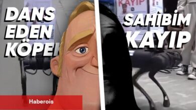 İstanbul’da Sokağın Ortasında Darbuka Eşliğinde Dans Eden Robot Köpek Gündem Oldu​