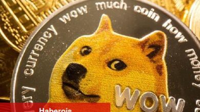 Kripto piyasalarında memecoin rallisi: 4 altcoin piyasayı domine ediyor