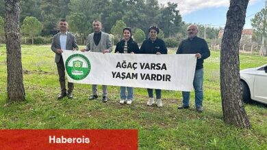 Menderes Belediyesi Doğaya Sahip Çıkıyor - Haberois Menderes Belediyesi Doğaya Sahip Çıkıyor