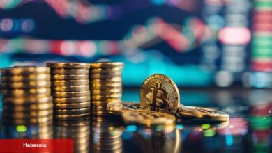 Net Bitcoin ETF Çıkışları Devam Ediyor: İşte Beklenenler! - Haberois Net Bitcoin ETF Çıkışları Devam Ediyor: İşte Beklenenler!