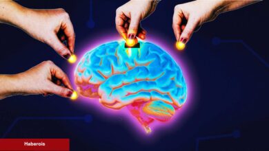 Santiment Açıkladı: Bu Altcoinler Büyük Kâr Getirdi!