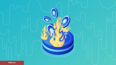 SHIB Coin ve Bu 3’ünde Yakım Rüzgârı! Fiyatlar Nasıl Etkilendi?