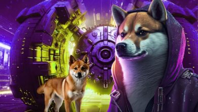 Shiba Inu Önderi Büyük Güncelleme İçin Tarih Verdi! - Haberois Shiba Inu Önderi Büyük Güncelleme İçin Tarih Verdi!