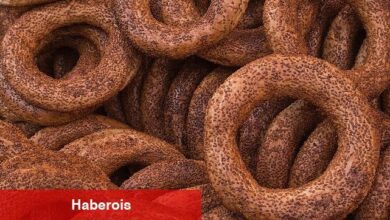 Susam ihracatında yüzde 195'lik rekor artış