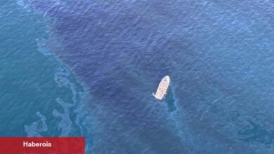 Testler, Güney Kaliforniya Petrol Parıltısının Dökülmeden Kaynaklanma ihtimalinin düşük olduğunu gösteriyor