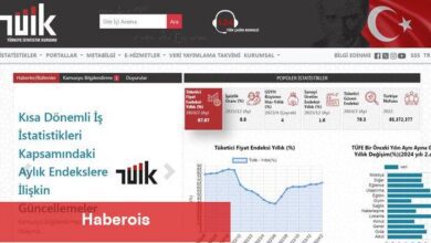 TÜİK, 2 yeni endeks yayımlamaya başlıyor - Haberois TÜİK, 2 yeni endeks yayımlamaya başlıyor