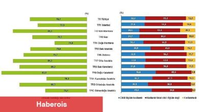 Tüik: Araştırma kapsamında 50 ve daha yukarı yaştaki 29 bin 785 kişi ile ilgili bilgi derlendi - Haberois Tüik: Araştırma kapsamında 50 ve daha yukarı yaştaki 29 bin 785 kişi ile ilgili bilgi derlendi