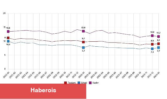 TÜİK: Mevsim etkisinden arındırılmış işsizlik oranı %9,1 seviyesinde gerçekleşti