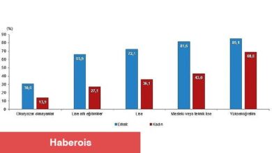 TÜİK: Türkiye nüfusunun %49,9'unu kadınlar, %50,1'ini erkekler oluşturdu - Haberois TÜİK: Türkiye nüfusunun %49,9'unu kadınlar, %50,1'ini erkekler oluşturdu