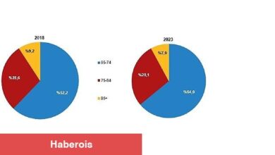 Tüik: Yaşlı nüfus 8 milyon 722 bin 806 kişi oldu - Haberois Tüik: Yaşlı nüfus 8 milyon 722 bin 806 kişi oldu