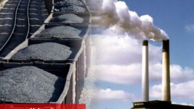 Türkiye bu konuda Polonya'yı geride bıraktı! Avrupa'da üretimde ikinci ülkeyiz