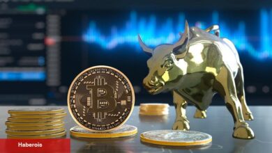 Usta Analistten Bitcoin ve Altcoin Yorumu: O 4’ü Patlamaya Hazır!