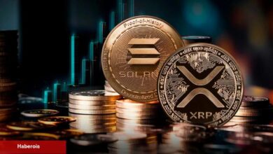 XRP, DAO, SOL Coin ve Bu 6 Altcoin’den Sıcak Haberler Var!