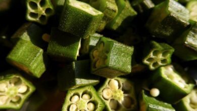 Yorgunluğu yok eden o besin! - Haberois Yorgunluğu yok eden o besin!