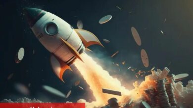 Yüzde 1.000 Yapmıştı: O Göğüs Coin, Binance ve O Borsada Listeleniyor! - Haberois Yüzde 1.000 Yapmıştı: O Göğüs Coin, Binance ve O Borsada Listeleniyor!