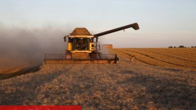 ABD'li buğday çiftçileri tahıl bolluğunun fiyatları baskılamasıyla mücadele ediyor - Haberois ABD'li buğday çiftçileri tahıl bolluğunun fiyatları baskılamasıyla mücadele ediyor
