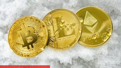 Akanda Corp Blockchain ve Yapay Zeka Sektörüne Giriyor - Haberois Akanda Corp Blockchain ve Yapay Zeka Sektörüne Giriyor