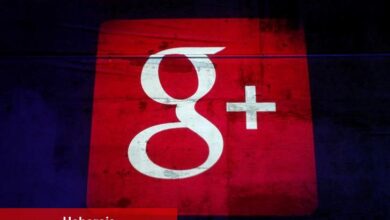 Alphabet ilk temettüsünü açıkladı, hisse senetleri kazanç sonrası sıçradı