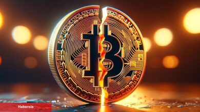 Altcoinler Bitcoin Halving’ine Nasıl Reaksiyon Verecek? Uzman Yorumu!