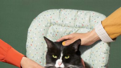 Ama Ben Kendi İşimi Yaparak Büyüdüm - Haberois Ama Ben Kendi İşimi Yaparak Büyüdüm