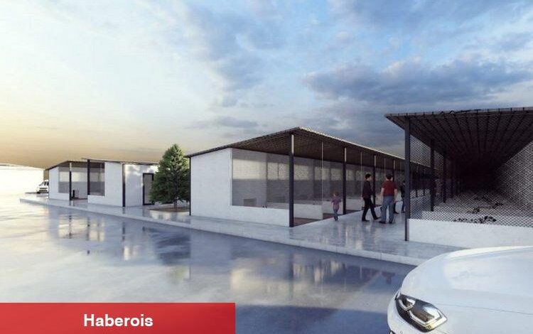 Başkan Palancıoğlu’ndan yeni proje: Sokak hayvanları köyü