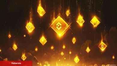 Binance, 53. Launchpool ile Bu Altcoin’i Tanıttı: İşte Listeleme Tarihi! - Haberois Binance, 53. Launchpool ile Bu Altcoin’i Tanıttı: İşte Listeleme Tarihi!