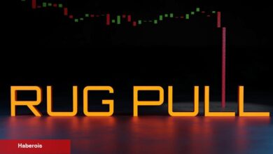 Bir Kripto Para Projesinde Daha Rug Pull Tezi: Hesap Askıya Alındı!