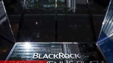 BlackRock İlk Çeyrekte Öngörülen Rakamları Aştı