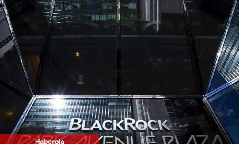 BlackRock İlk Çeyrekte Öngörülen Rakamları Aştı