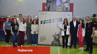 Boehringer Ingelheim ve Klinisyen Veteriner Hekimler Derneği (KLIVET) Veteriner Hekimler Günü'nü Çocuklarla Birlikte Kutladı - Haberois Boehringer Ingelheim ve Klinisyen Veteriner Hekimler Derneği (KLIVET) Veteriner Hekimler Günü'nü Çocuklarla Birlikte Kutladı