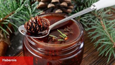 Bu bal öbür bal: Çam balının yararları - Haberois Bu bal öbür bal: Çam balının yararları