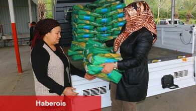 Büyükşehir Belediyesi'nden silajlık mısır tohumu desteği - Haberois Büyükşehir Belediyesi'nden silajlık mısır tohumu desteği