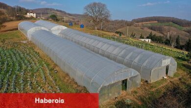 Büyükşehir'den yüzde 50 hibeli modern sera desteği