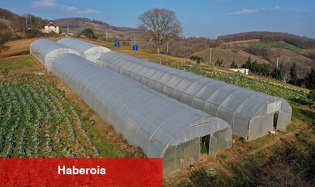 Büyükşehir'den yüzde 50 hibeli modern sera desteği - Haberois Büyükşehir'den yüzde 50 hibeli modern sera desteği