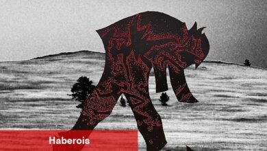 Çankaya Belediyesi, Mayıs ayını birbirinden renkli etkinliklerle karşılıyor - Haberois Çankaya Belediyesi, Mayıs ayını birbirinden renkli etkinliklerle karşılıyor