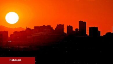 CDC Çalışmasına Göre Isıyla İlgili Acil Servis 2023'te Rose'u Ziyaret Etti - Haberois CDC Çalışmasına Göre Isıyla İlgili Acil Servis 2023'te Rose'u Ziyaret Etti