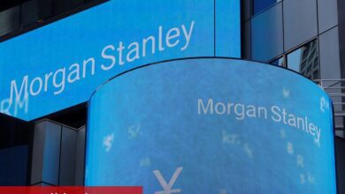 Çin'deki Elektrikli Araç Hisseleri Morgan Stanley'nin Potansiyel Kısa Vadeli Kâr Tahminleriyle Yükseliyor