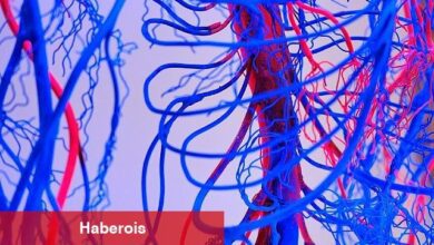 Damar Tikanıklarını Önlemenin 7 Etkili Yolu!