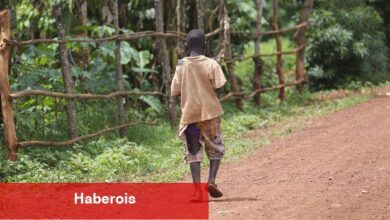 Dünya Bankası: En fakir ile en güçlü ülkeler ortasında uçurum arttı