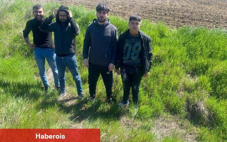 Edirne'de 4 göçmen yakalandı