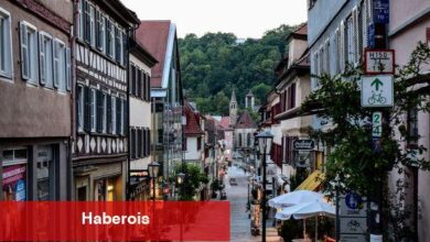 Euro Bölgesi'nde dış ticaret fazlası Şubat'ta arttı - Haberois Euro Bölgesi'nde dış ticaret fazlası Şubat'ta arttı