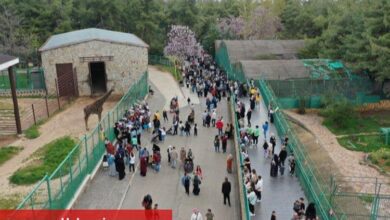 Gaziantep Doğal Yaşam Parkı’na akın ettiler