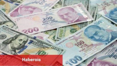 Hangi yatırım aracı ne kazandırdı? - Haberois Hangi yatırım aracı ne kazandırdı?