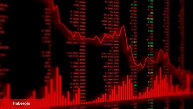 İki Analist Uyardı: Bu 2 Altcoin Çökebilir!