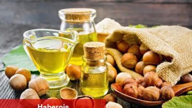 İster yiyerek ister yağ halinde tüketin: Fındık yağının mucizevi yararları