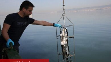 İzmit Körfezi’nde biyoçeşitlilik araştırılıyor